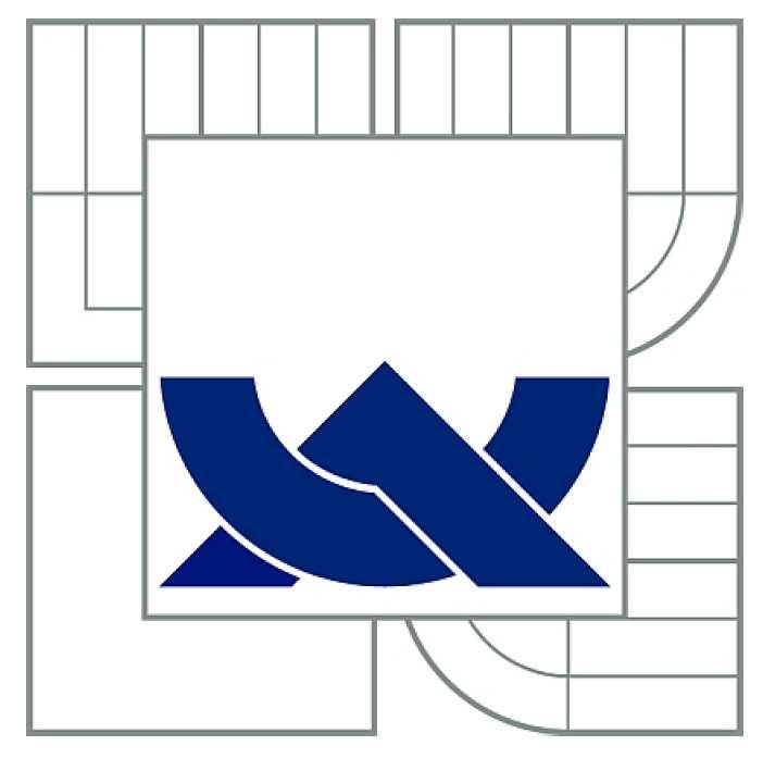 VYSOKÉ UČENÍ TECHNICKÉ V BRNĚ BRNO UNIVERSITY OF TECHNOLOGY FAKULTA ELEKTROTECHNIKY A KOMUNIKAČNÍCH TECHNOLOGIÍ ÚSTAV BIOMEDICÍNSKÉHO INŽENÝRSTVÍ FACULTY OF ELECTRICAL ENGINEERING AND COMMUNICATION