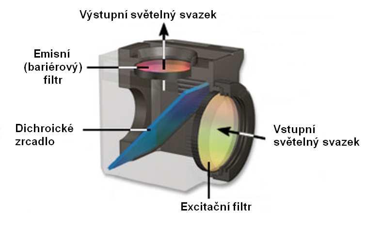 Světlo z xenonové výbojky prochází nejprve excitačním filtrem, který omezí spektrum světla jen na požadovaný rozsah vlnových délek.