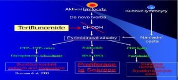 Teriflunomide Aubagio Dávkování: 1xd, 14 mg, efektivita 37% Vedlejší účinky: infekce URO, HCD, alopecie - řídnutí vlasů, JT(kontroly krve á 14 dnů 6 měsíců), TK, parestezie, neuropatie,