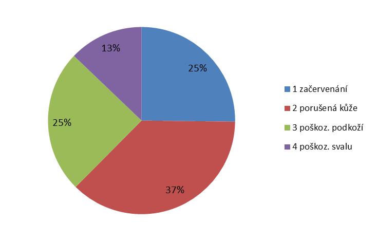 Rozdělení dekubitů podle stupňů Celkové za roky 2009-2017 Stupeň postižení Počet dekubitů Počet dekubitů celkem % 1 začervenání 4660 18501 25,19% 2 porušená kůže 6893 18501 37,26% 3 poškoz.