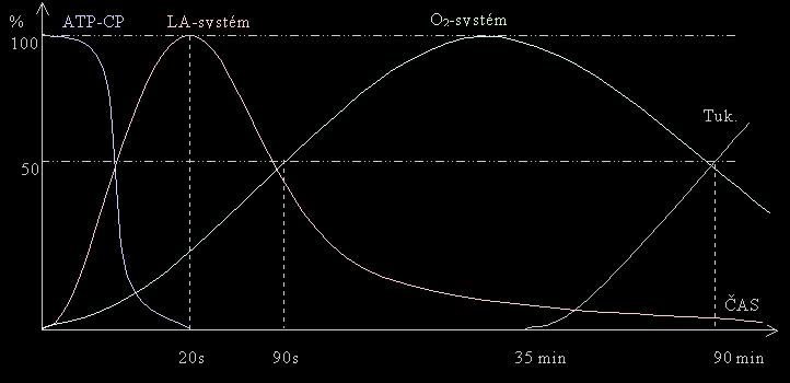 Energetické systémy 1) Kreatinfosfátový systém (ATP CP) - zásoba na 2-20 kontrakcí 2) Anaerobní glykolýza (LA systém) - tvorba ATP a laktátu 3) Aerobní glykolýza (O 2 systém) - tvorba ATP, CO 2 a H 2