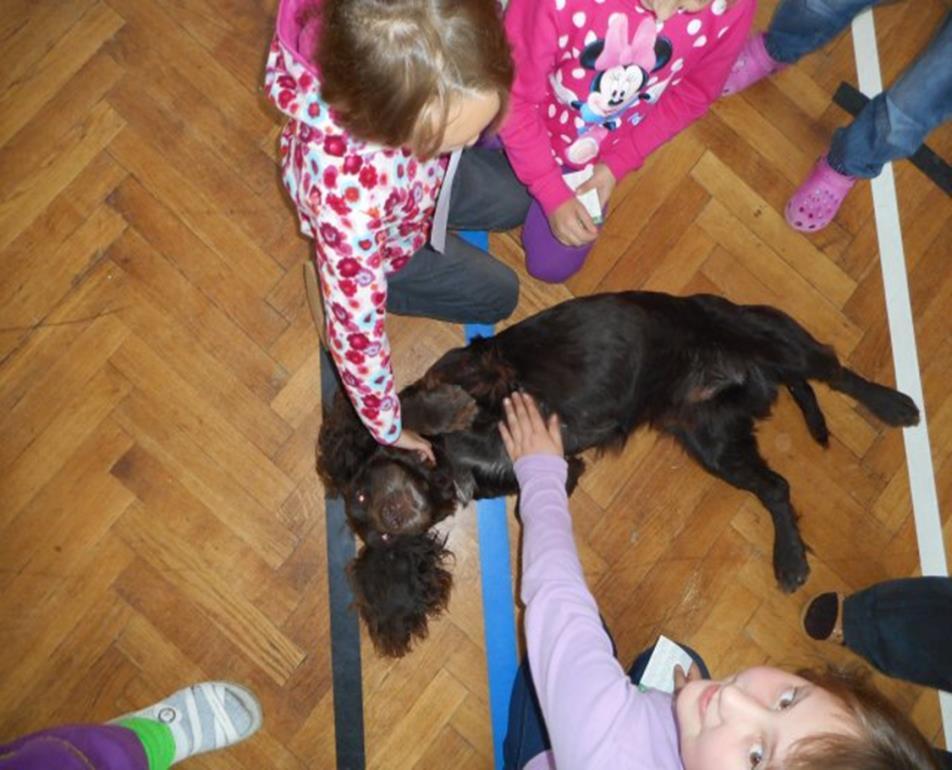 V úterý 13. října proběhla ve škole poslední akce z projektu Ve zdravém těle zdravý duch 4 s názvem Příroda, les, myslivost.