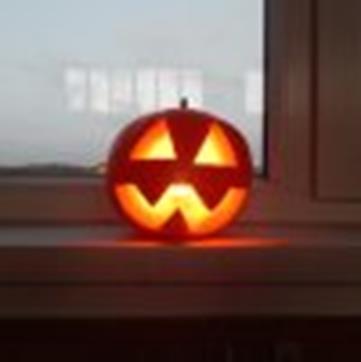 Halloween Dne 27. října 2015 jsme si my,,deváťáci pro školu připravili tradiční Halloween. Každý si musel připravit nějakou strašidelnou masku, ve které přišel do školy.