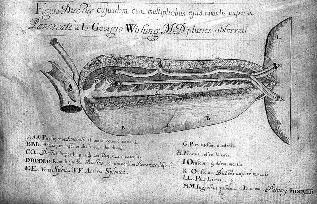 Obrázek 1: Měděná destička s nákresem pankreatického vývodu [4] Život Wirsunga ukončil Jacques Cambier, též student medicíny, který jej 22. 8. 1643 zastřelil karabinou přede dveřmi jeho domu.
