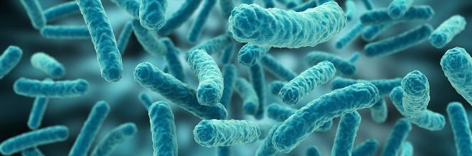 Konverze CO 2 s vodíkem může probíhat: Chemicky: nutné vysoké tlaky a teploty, katalyzátory s drahými kovy, nutnost předčištění Biochemicky: pomocí hydrogenotrofních methanogenů za podmínek anaerobní