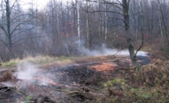 m 3 ) a Karvinsku (3,9 mil. m 3 ). Dříve prohořelé odvaly, např. dva typické odvaly Dolu Jan Šverma, byly z části odtěženy a prohořelé hlušiny (porcelanity, označované jako tzv.