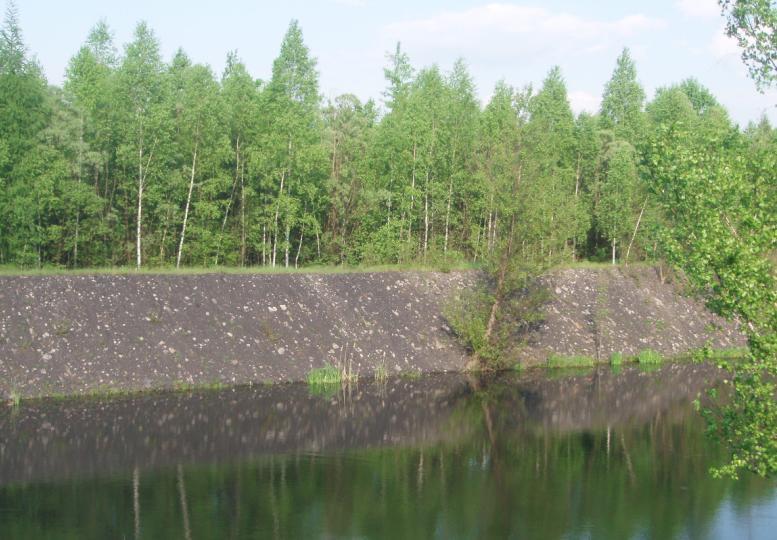 24.2.5 Rekultivace Hornickou krajinu modelují kromě poklesů především odvaly. S výstavbou hlubinných dolů v polovině 19. století a těžbou v první polovině 20.