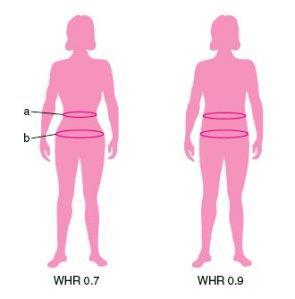 WHR Waist hip ratio Vyjadřuje poměr mezi obvodem pasu a boků Hodnoty by se měly pohybovat pod 0,80 u žen a pod 0,90 u mužů Typy rozložení tuku při obezitě Androidní (mužské) rozložení tuku - typ
