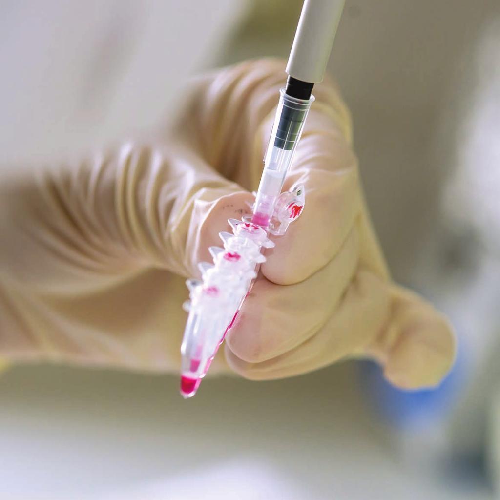 6 Které oblasti lidské činnosti jsou závislé na pokroku v biologii? Na prvním místě je třeba uvést medicínu.