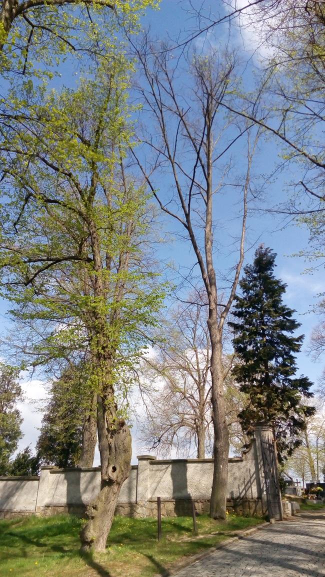 Poškozené