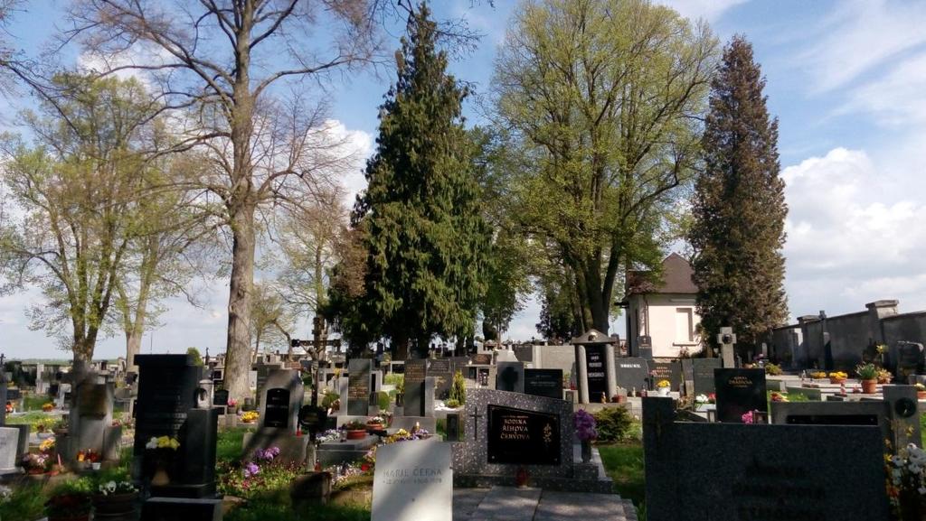 (pravá