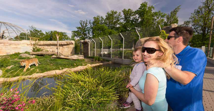 UŽIJTE SI TROCHU DIVOČINY I S DĚTMI V HLUBOCKÉ ZOO VEDLE LOVECKÉHO ZÁMKU OHRADA, NA BŘEHU MUNICKÉHO RYB- NÍKA NA PLOŠE PŘES 4,5 HEKTARU, SE ROZKLÁDÁ HLUBOCKÁ ZOO- LOGICKÁ ZAHRADA.