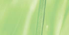 18cm, 3,4l, FI (235C) o.č. 344542-23,90 25 v. 22 cm LIM o.č. 344142-35,60 5,60 0 19,6 v.