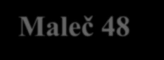 Výroční