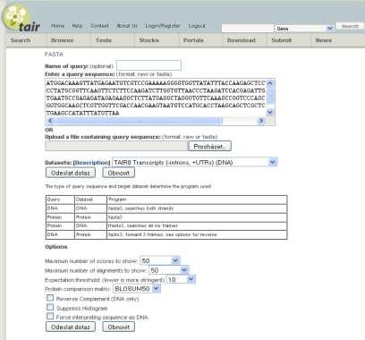 Obrázek 27 Zadávání sekvence a parametrů do online program FASTA dtb. TAIR, zdroj [Vlastní] I v tabulce 12 jsou kritéria při prohledávání tentokrát specializované databáze nukleotidovým dotazem.