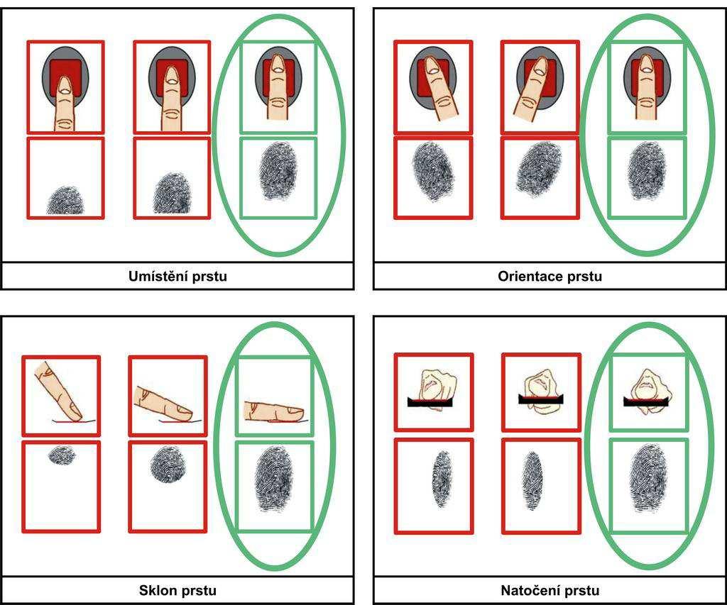 Pravidla pro správné umístění prstu při snímání otisku. Kvalita otisku prstu je vyšší, pokud je prst správně umístěn na čtecí plošce. Optimální poloha prstu je zobrazena v následující ukázce.