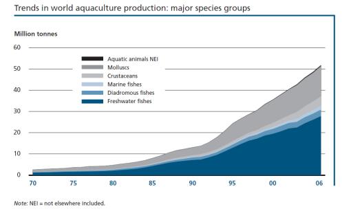 Akvakultura Akvakultura nárůst z 25 na 50 Mt od roku 1995-2006 bez Číny nárůst o 28% Mořská akvakultura výrazně vzrostla od roku 1995 V Číně se