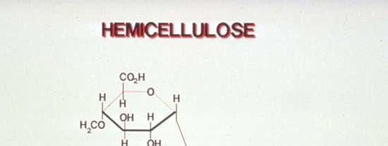 komplexních molekul: CelulózyC n (H 2 O) n 1