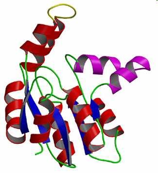 NMR biomolekul Prostorová