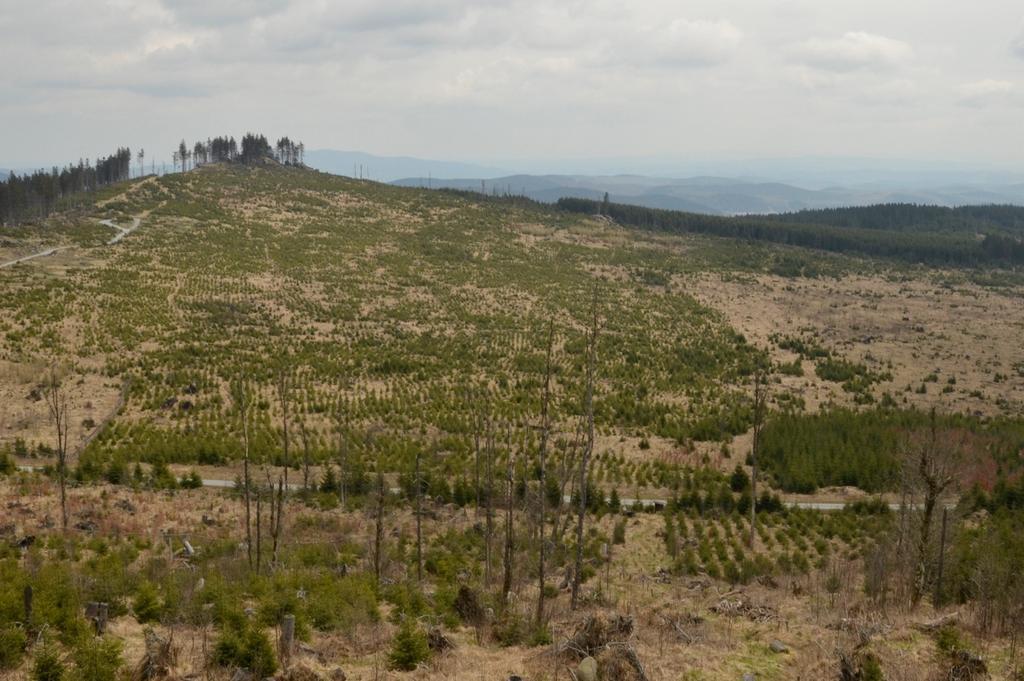 Porovnání Následující fotografie ukazují 2 šumavské lokality zasažené hurikánem Kyrill v lednu 2007.