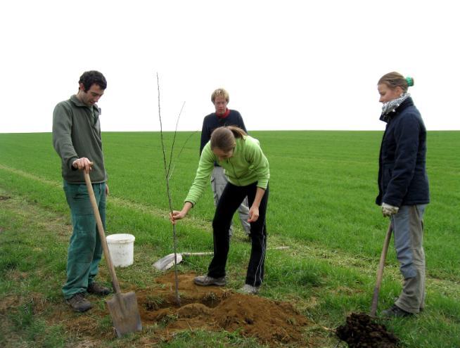 SÁZENÍ STROMKŮ Dne 13. - 15. dubna 2012 proběhla v naší obci, za přispění dobrovolníků z hnutí Brontosaurus, výsadba ovocných stromku. Byla to již druhá akce na zkulturnění obce Radostice.