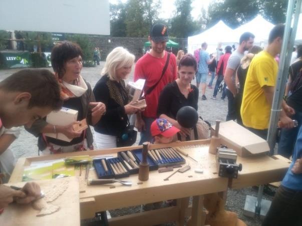 8.5.1 Holešovská regata Cílem festivalu Holešovská Regata je vytvořit každoroční tradiční soutěžní akci pro širokou veřejnost převedení originálních plavidel reprezentující soutěžící organizace s