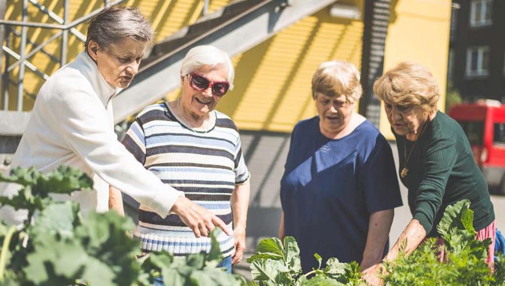 umožňuje uskutečňovat rozmanité relaxační a terapeutické aktivity seniorů a nabízí širší možnosti využití pro novou metodu sociální práce s klienty gardenterapii.