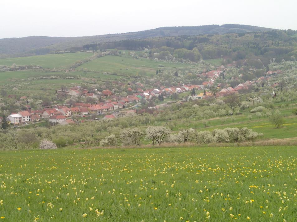 Pracovní skupina Ovocné stromy a krátké řetězce, kde je zapojeno na 30 odborníků na legislativu,