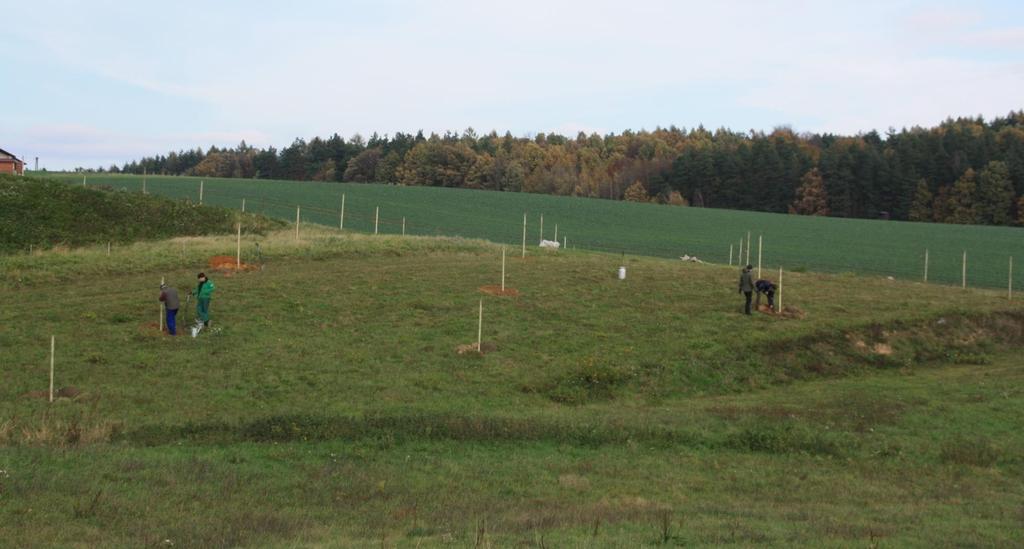 Genofondový sad ovocných dřevin v Bolaticích-Borové 35 stromů jabloní, hrušní a třešní