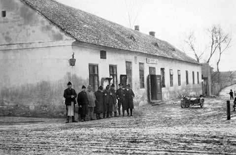 vzácný zvoneček pohárkovitý. Ohnivec rakouský, běžně rostoucí v okolí naší obce, jaksi už nepočítám mezi vzácnosti. I když ještě před desíti lety byl označován jako velmi zřídkavý.