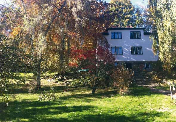 Březiny Daňkovice Čistá příroda, památné stromy, trochu turistiky, prvorepubliková vila, zmrzlina, skvělé jídlo a také Vysočina Arena. To vše na trase Březiny Daňkovice.