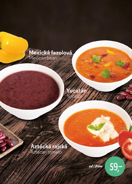 m s e n y d k i N polévky soups 2010 V