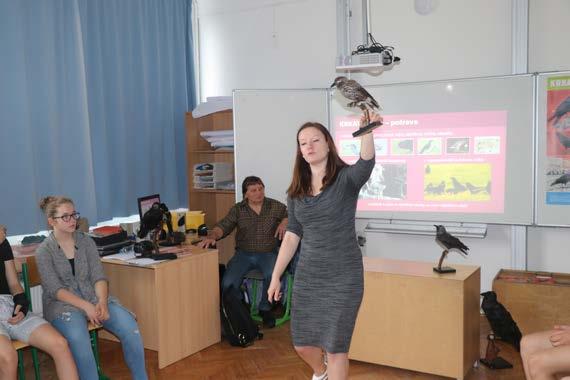 výukový program krkavcovití Společnost Ornita nás v