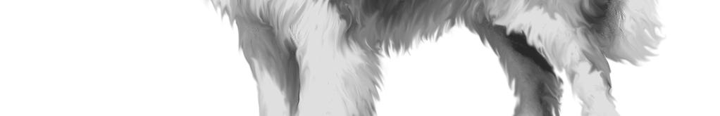 Dog)