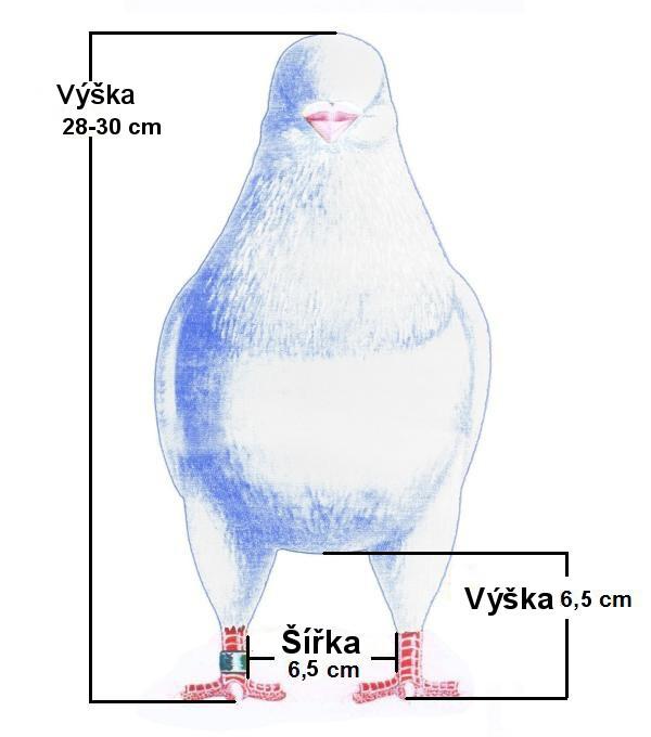 Jedincům zanedbaného vzhledu, nebo bez dobrého postoje nebo řádného chování, může být strženo až deset bodů.