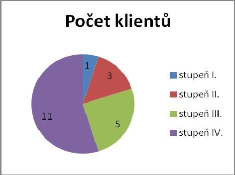 Věkové složení klientů do roku - let - let - let - 8 let 9 - let - let - 8 let nad 8 let Průměrný věk Nezpůsobilí k právním úkonům 8 8 8, 8, 9,8 9.