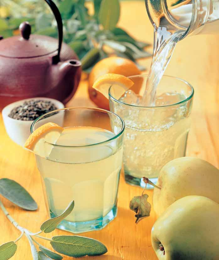 Jablãn sirup so zelen m ãajom a alviou (na 2 l sirupu) 1,6 l vody Èava z 2 citrónov 6 stredne veºk ch jabæk zbaven ch jadrovníkov niekoºko lístkov alvie 12 lyïiãiek uvareného zeleného ãaju 1 Gelfix