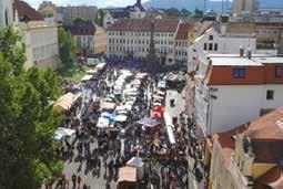 Jsou to snad jediné dva dny, kdy Teplice trochu ožijí. Kateřina Nesvatbová 27 let zaměstnaná Teplice Mám před porodem, takže veškeré nastávající akce jsou mimo mě.