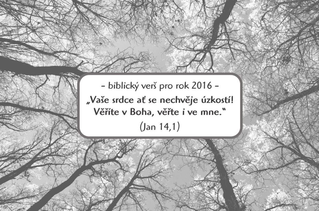 Rok 2016 v naší Diakonii byl plný zvratů a změn a také chvění se v úzkosti, zda to, jak pracujeme a snažíme se pomáhat druhým, je či není Boží cestou.