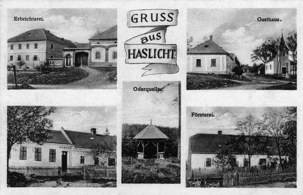 Varhošť POODŘÍ 2/2015 Varhošť (Haslicht) 1) a samoty Stampfgrund (Štomparňa) a Schwarzmühle (Schwarzův mlýn) Jana Krejčová V roce 1131 držela olomoucká kapitula ve vsi Vargosci jeden lán, jak dokládá