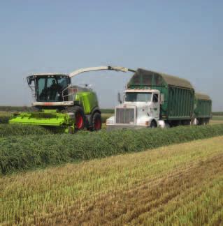 Nedopřávejte mu ani tu nejmenší přestávku. Nový sběrač PU 380. Stále vyšší výnosy a výkonově silnější sklízecí řezačky vyžadují nejčistší sběr píce a robustní techniku s nejjednodušším ovládáním.