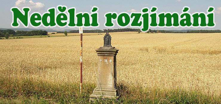 Těch změn je pro dítě v tomto období opravdu hodně. Není to jen učení a domácí úkoly, ale je potřeba velká dávka samostatnosti a zralosti, schopnost přijmout nová pravidla.