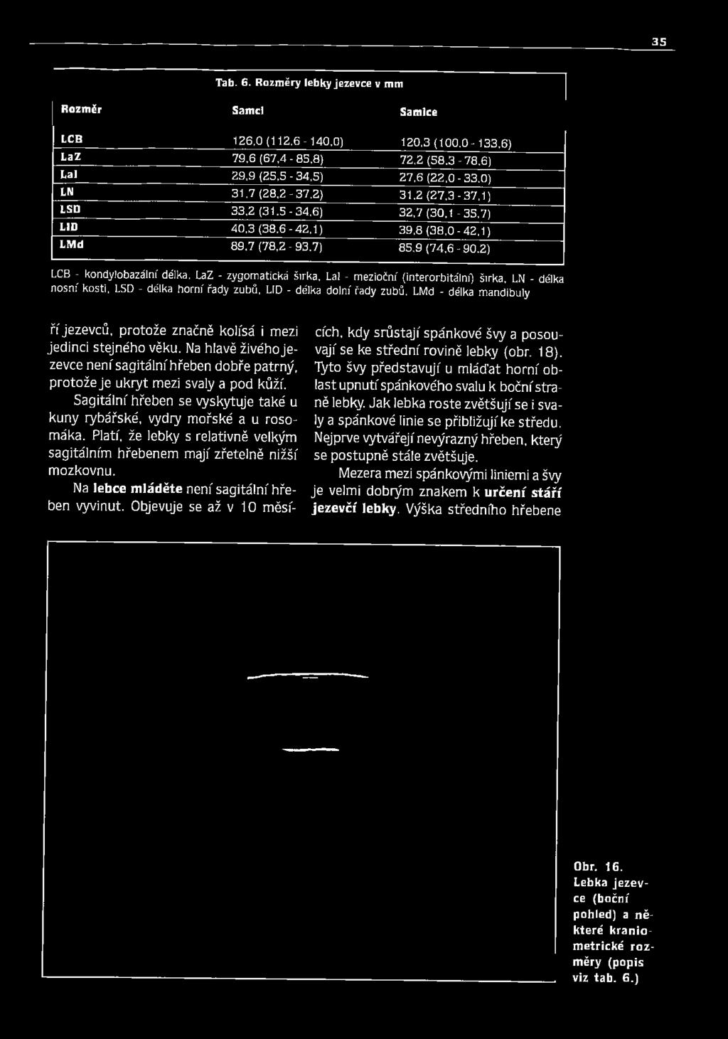 35 Tab. 6. Rozměry lebky jezevce v mm J Rozměr Samci Samice LCB 126,0(112.6-140,0) 120,3(100.0-133,6) LaZ 79,6 (67,4-85,8) 72,2 (58,3-78,6) Lal 29,9 (25,5-34,5) 27,6 (22.0-33.0) LN 31,7 (28,2-37.