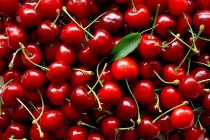 Třešně Prunus avium
