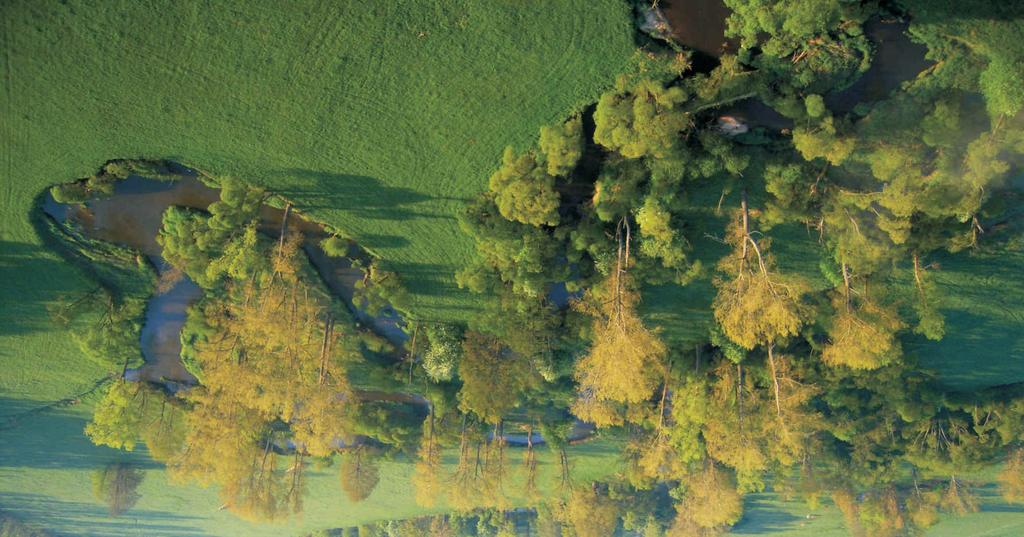 Suchdol nad Lužnicí a jednoho z dlouholetých členů suchdolského zastupitelstva Zdeňka Gregora.