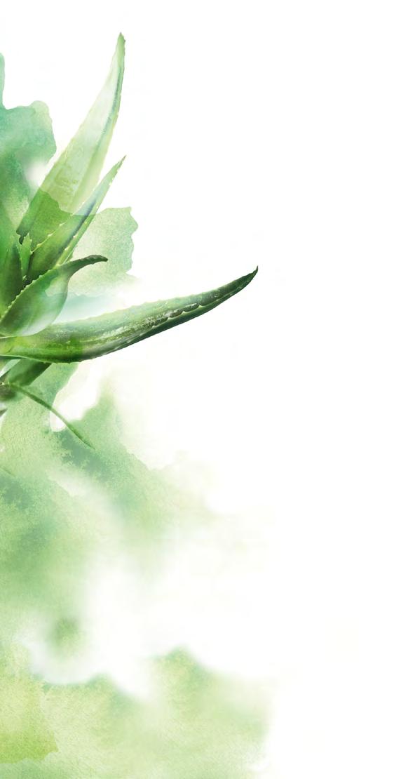 Oční gel s aloe vera