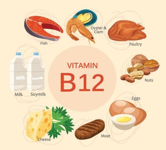 Avitaminózy vitamin B 12 Zdroj: Játra Maso Vnitřnosti