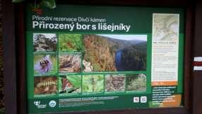 Individuální zahraniční praxe žáků - 2 žákyně 3. - 4. ročníku oboru Cestovní ruch zahraniční praxe Řecko (červen září 2017) - 3 žákyně 4.