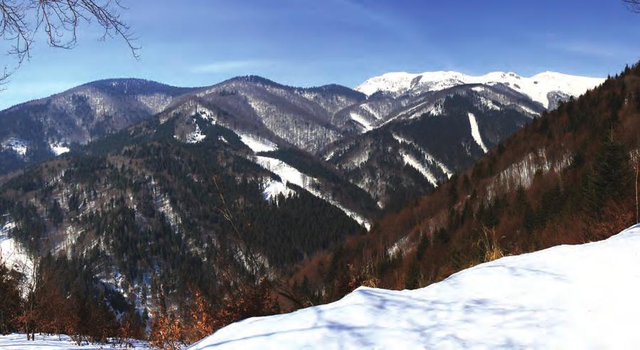 VENDOVKA KLUB SUČIANSKYCH TURISTOV Kalendár pretekov slovenského pohára: 19. 01. 2013 I. kolo SP Červenec, SK 16. 02. 2013 II.