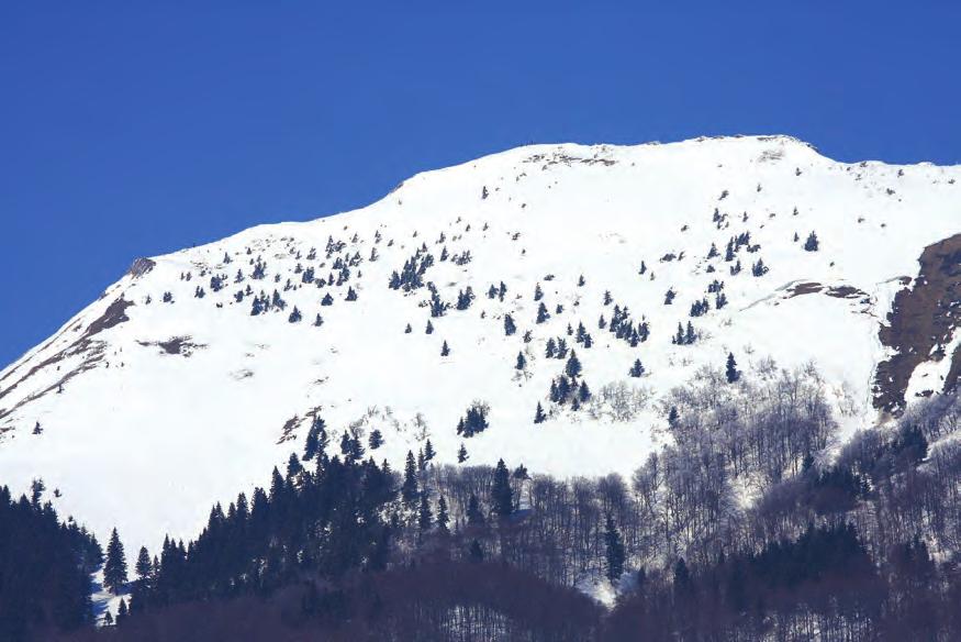 kolo SP Malinowskeho memoriál, PL www.skialp4u.sk Skialp Sučany a Slovenská skialpinistická asociácia organizujú 4.